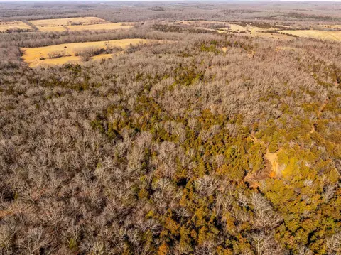0 Hwy 56, Poughkeepsie, AR 72569 photo 40