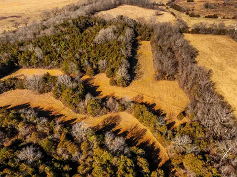 0 Hwy 56, Poughkeepsie, AR 72569 photo 20