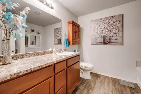 Bath - 14653 Skyline, Alexander, AR 72002 photo 1 of 3