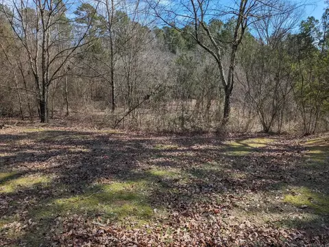 View/Area - 69 Lady Ghost Ln, Sims, AR 71969 photo 3 of 3