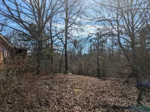 View/Area - 69 Lady Ghost Ln, Sims, AR 71969 photo 2 of 3