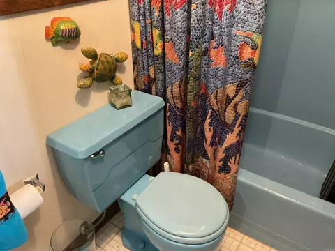 Bath - 324 Valhalla, Edgemont, AR 72044 photo 5 of 7