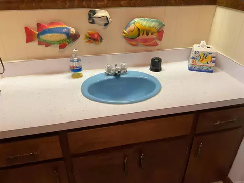 Bath - 324 Valhalla, Edgemont, AR 72044 photo 6 of 7