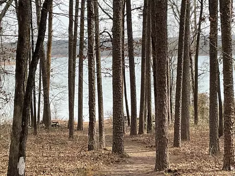 View/Area - 324 Valhalla, Edgemont, AR 72044 photo 1 of 6