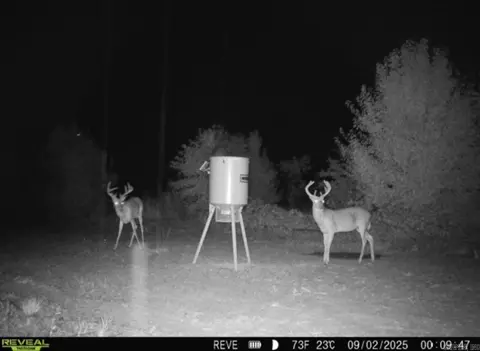 000 Woodruff Cr 361, Mccrory, AR 72101 photo 42
