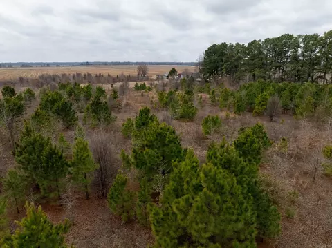 000 Woodruff Cr 361, Mccrory, AR 72101 photo 15