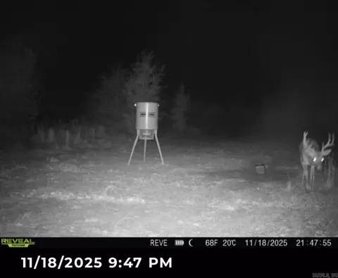 000 Woodruff Cr 361, Mccrory, AR 72101 photo 39