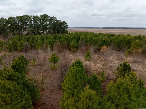 000 Woodruff Cr 361, Mccrory, AR 72101 photo 14