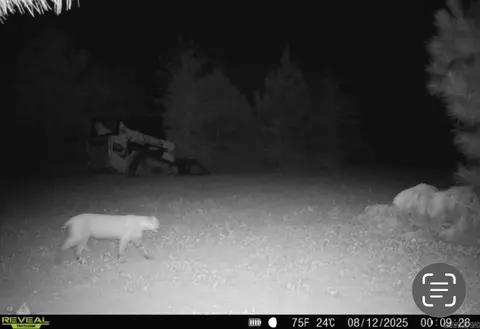 000 Woodruff Cr 361, Mccrory, AR 72101 photo 44