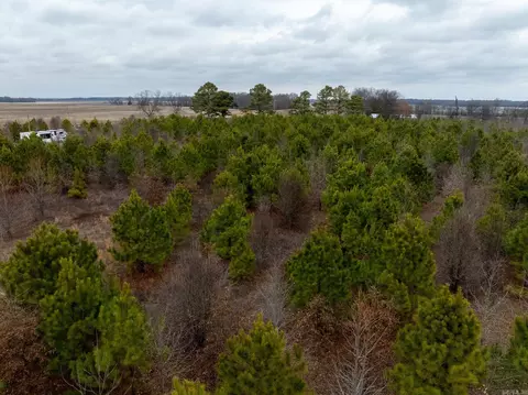000 Woodruff Cr 361, Mccrory, AR 72101 photo 12