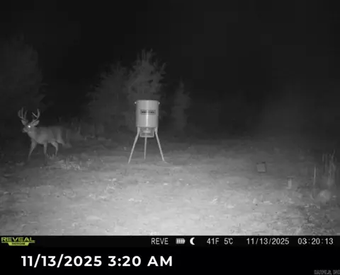 000 Woodruff Cr 361, Mccrory, AR 72101 photo 40