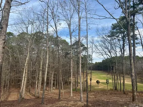 View/Area - 280 Kustrin Dr, Drasco, AR 72530 photo 3 of 4