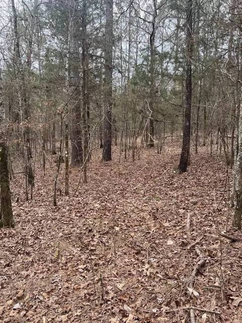 12 Pillar Ln, Hot Springs Village, AR 71909