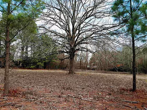 Nnn Pintado Loop, Glenwood, AR 71943