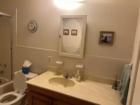 Bath - 6849 Village Dr, Pine Bluff, AR 71603 photo 5 of 6