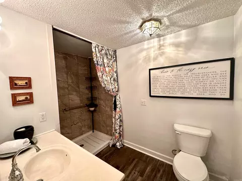 508 School St, Melbourne, AR 72556 photo 10