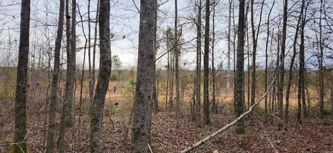 901 Green Hills Rd, Star City, AR 71667