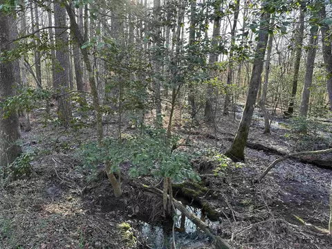 6745 E Draw, Mabelvale, AR 72103 photo 8