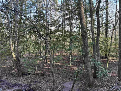 6745 E Draw, Mabelvale, AR 72103 photo 10