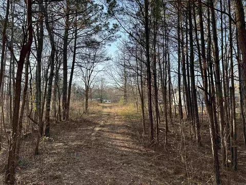 6745 E Draw, Mabelvale, AR 72103 photo 39