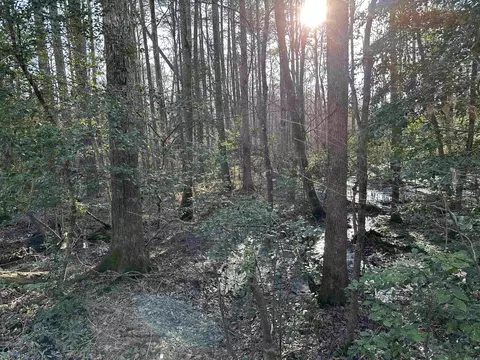 6745 E Draw, Mabelvale, AR 72103 photo 5