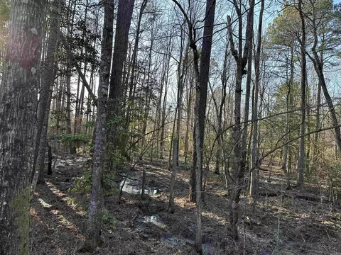 6745 E Draw, Mabelvale, AR 72103 photo 35