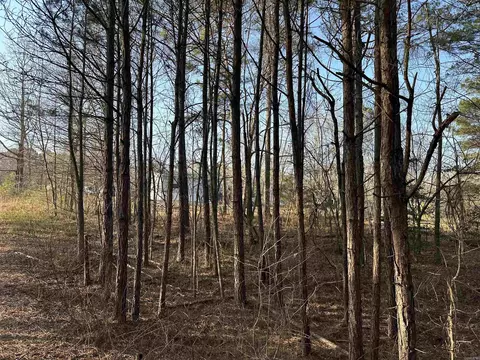 6745 E Draw, Mabelvale, AR 72103 photo 41