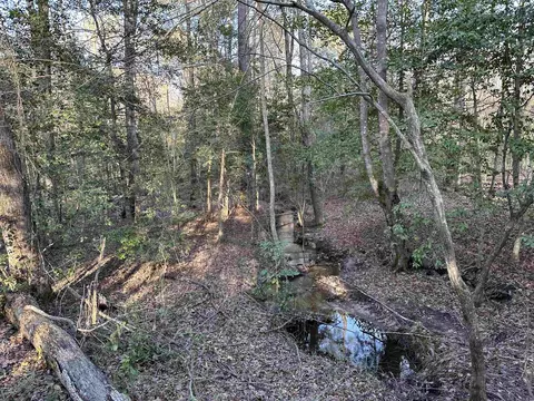 6745 E Draw, Mabelvale, AR 72103 photo 37