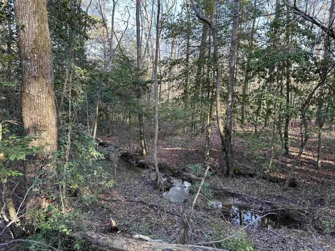 6745 E Draw, Mabelvale, AR 72103 photo 6