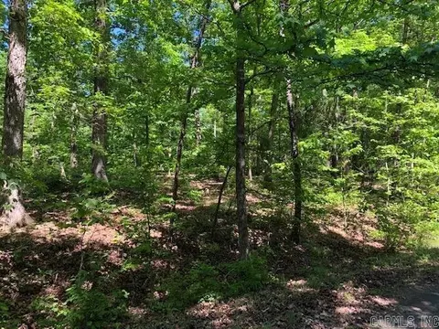 12 Celestial Ln, Hot Springs Village, AR 71909