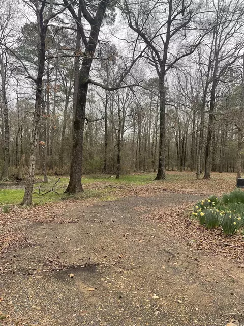 View/Area - 1238 Hwy 234 Hwy, Ashdown, AR 71822 photo 2 of 3
