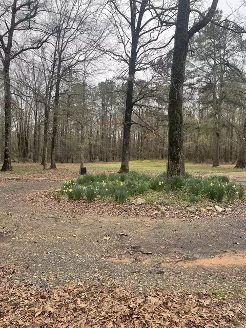 View/Area - 1238 Hwy 234 Hwy, Ashdown, AR 71822 photo 1 of 3