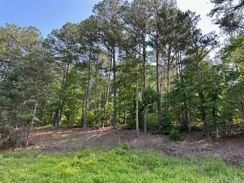 tbd Acheson Ln, Mena, AR 71953 photo 7