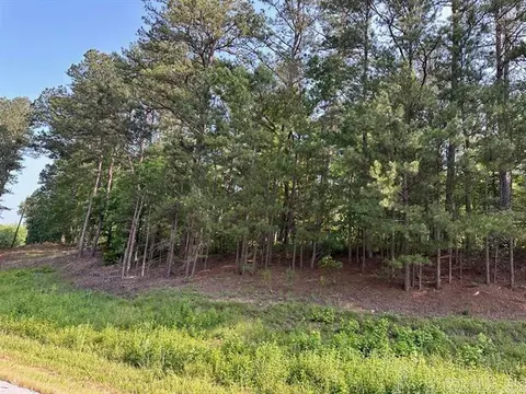 tbd Acheson Ln, Mena, AR 71953 photo 6