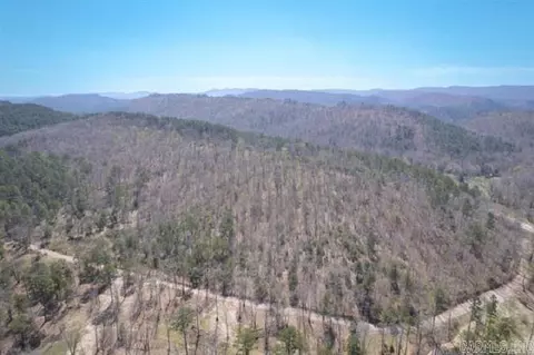 tbd Acheson Ln, Mena, AR 71953 photo 2