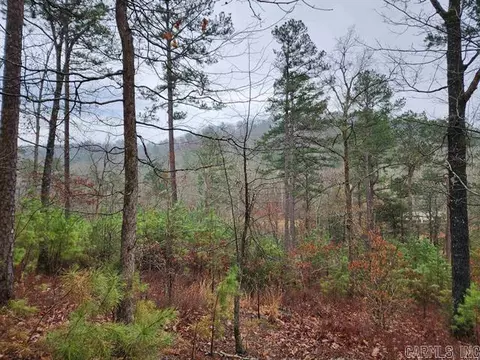 tbd Acheson Ln, Mena, AR 71953 photo 3