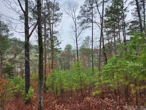 tbd Acheson Ln, Mena, AR 71953 photo 5