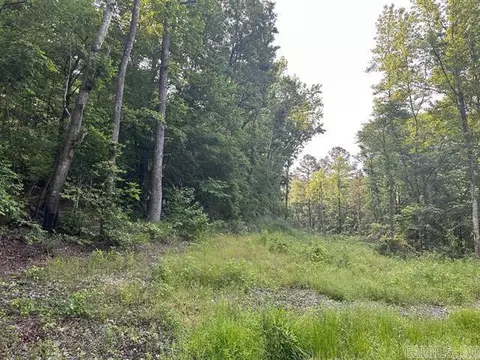 tbd Acheson Ln, Mena, AR 71953 photo 9
