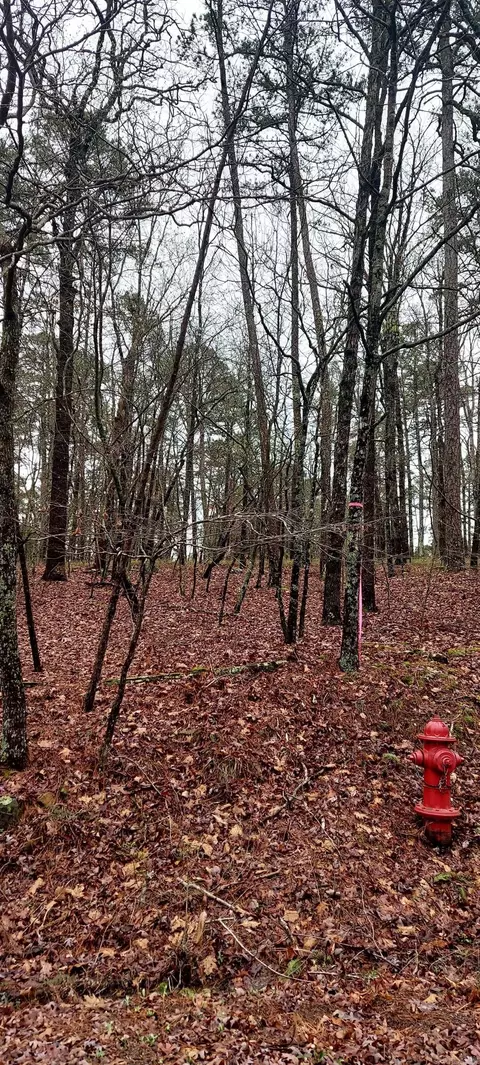 57 Caceras Way, Hot Springs Village, AR 71909