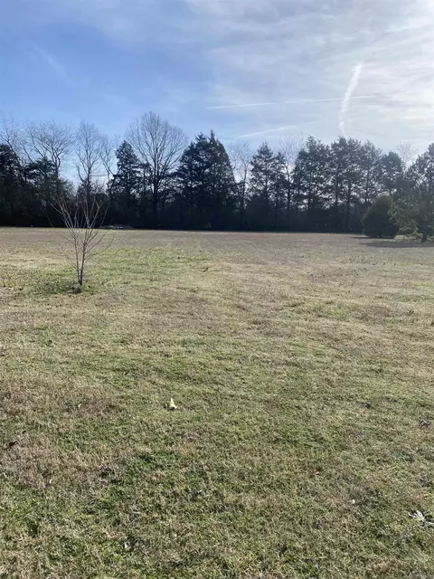 35 Locust St, Quitman, AR 72131 photo 40