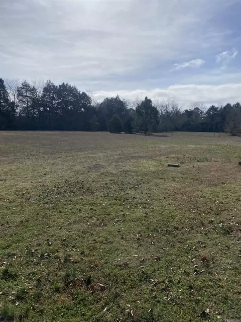 35 Locust St, Quitman, AR 72131 photo 38