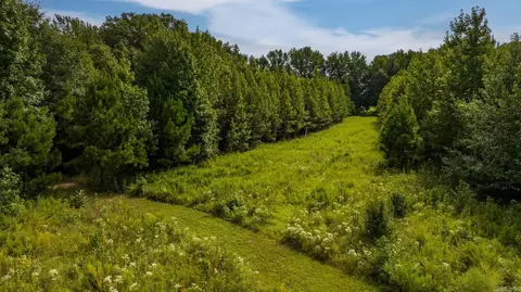 View/Area - 320 Wagontrain Rd, Beebe, AR 72012 photo 11 of 20