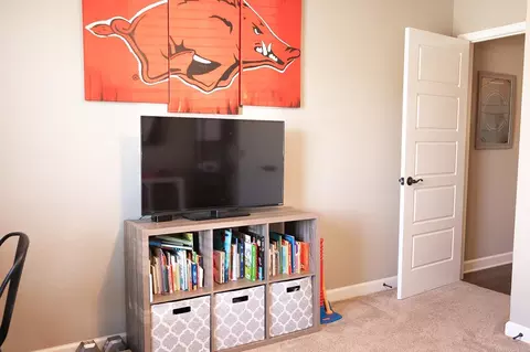 Living - 235 Creek View Dr, Austin, AR 72007 photo 4 of 4
