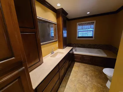 Bath - 480 E Bruce St, Piggott, AR 72454 photo 3 of 11