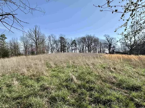 View/Area - 685 Rodney Cuttoff Rd, Dolph, AR 72528 photo 1 of 2