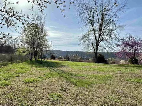 Exterior - 685 Rodney Cuttoff Rd, Dolph, AR 72528 photo 3 of 8
