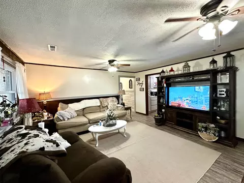 Living - 685 Rodney Cuttoff Rd, Dolph, AR 72528 photo 1 of 5