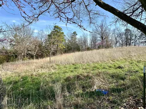 View/Area - 685 Rodney Cuttoff Rd, Dolph, AR 72528 photo 2 of 2