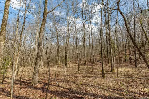 tbd Kates Cir, Norman, AR 71960 photo 3