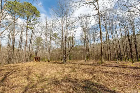 tbd Kates Cir, Norman, AR 71960 photo 2